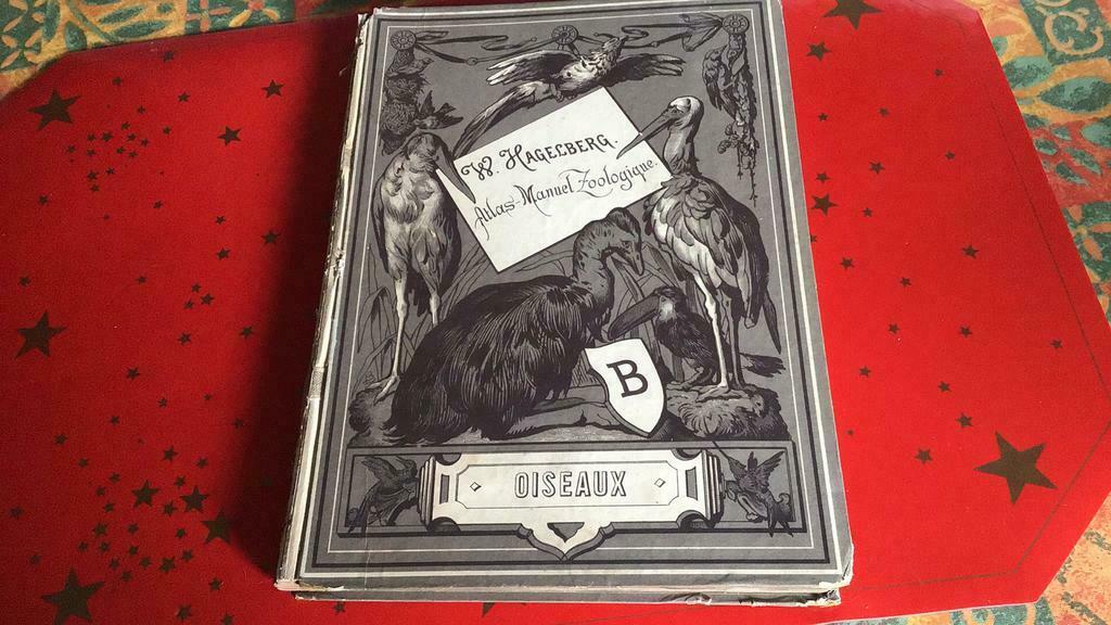 Oiseaux de W.Hagelberg (az), Enlèvement ou Envoi, Utilisé, Album d'images