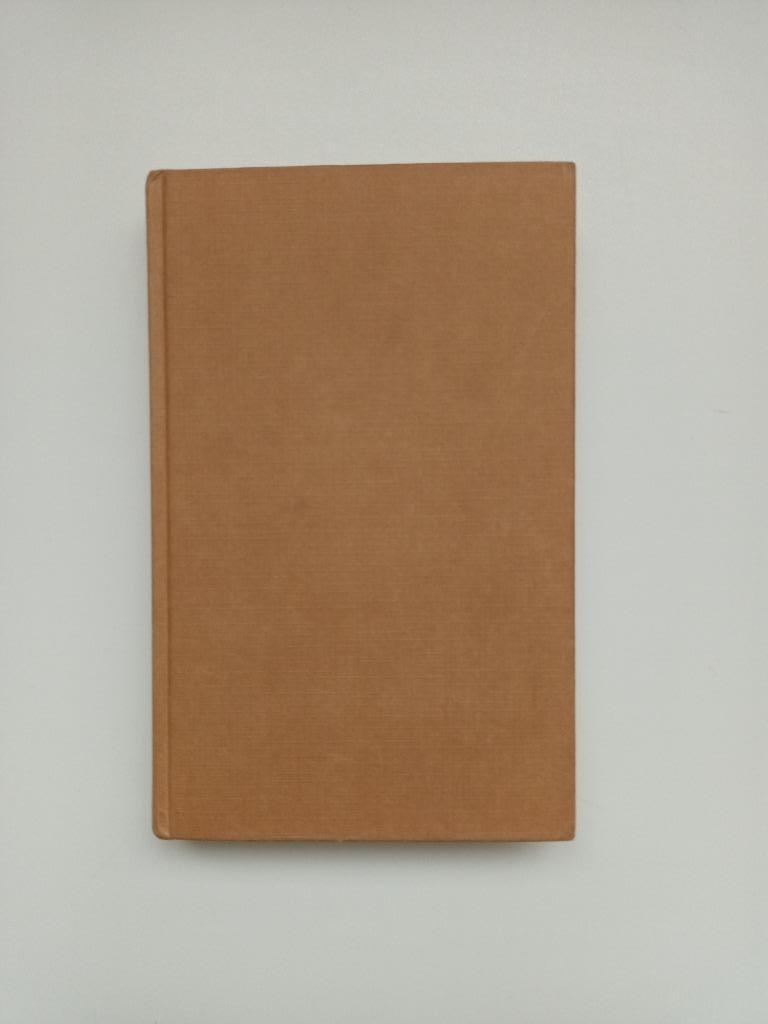 De verborgen fontein (Sanne van Havelte), Boeken, Ophalen of Verzenden, Sanne van Havelte, Nederland