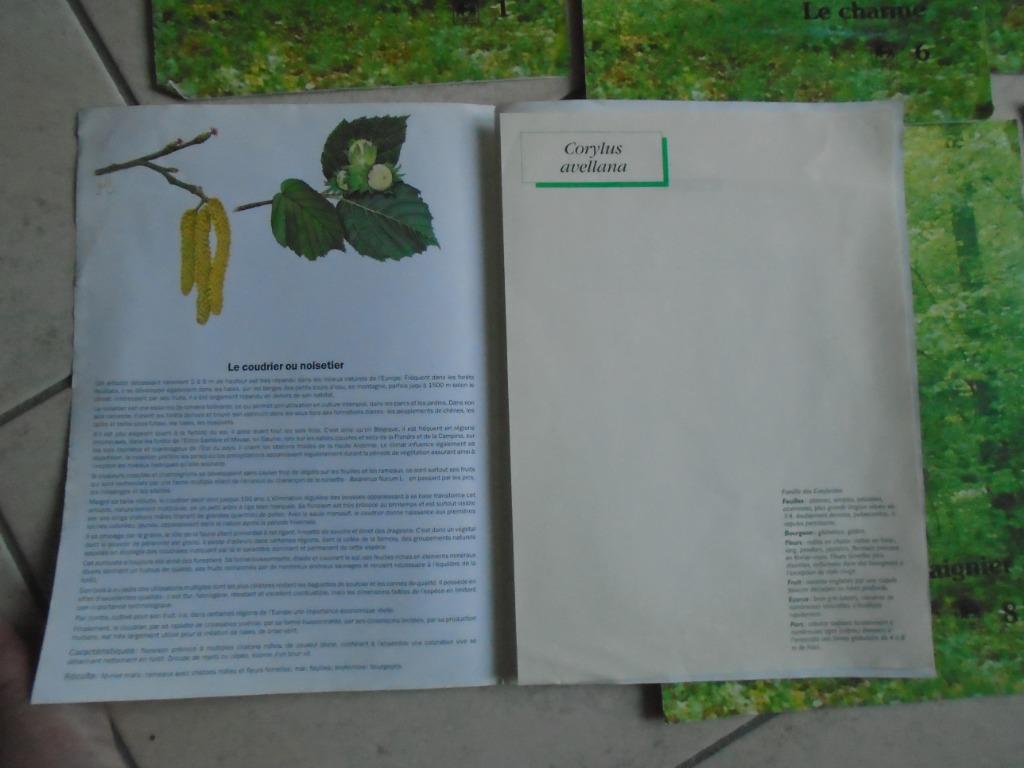 COLLECTION 6 "FARDES+FICHES+EXPLICATIONS"DELHAIZE", Enlèvement ou Envoi