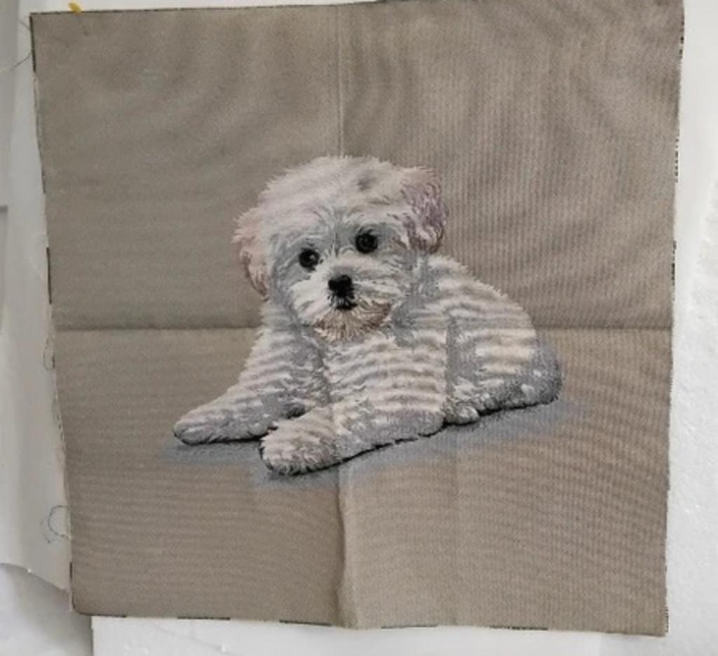 coupon tissu  bichon , chien blanc ( 47 / 45 cm, Wit, Nieuw, Ophalen of Verzenden, 30 tot 120 cm