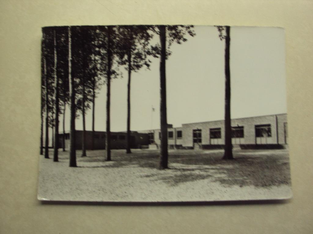 46132 - ZOTTEGEM - VELZEKE - JEUGDHEEM "DE POPULIER", Verzenden