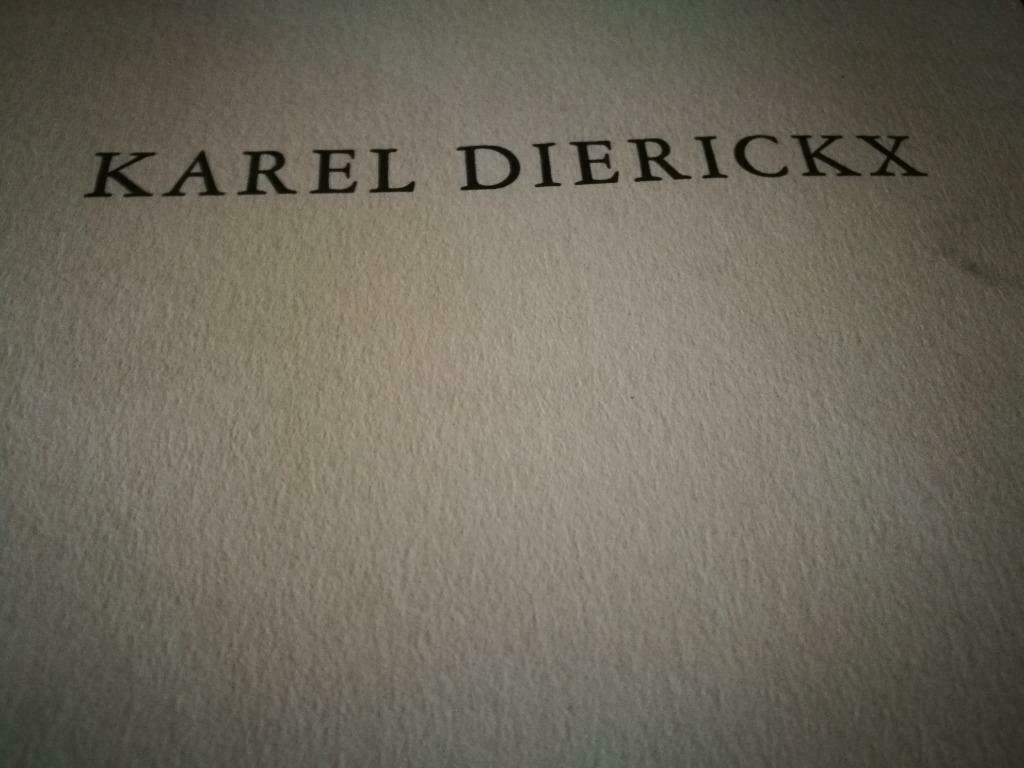Karel Dierickx Peintures 50pag, Boeken, Ophalen of Verzenden, Zo goed als nieuw, Schilder- en Tekenkunst