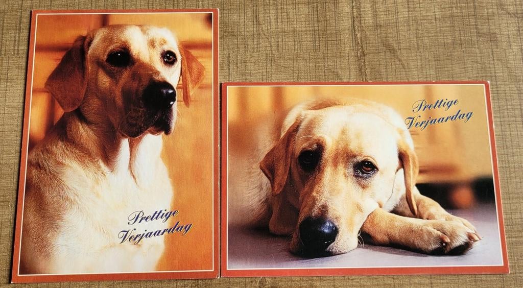 2 postkaarten/ wenskaarten: honden, Collections, Cartes postales | Animaux, Enlèvement ou Envoi, 1980 à nos jours, Non affranchie