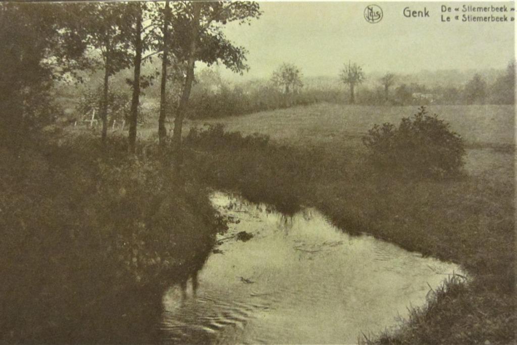 ZICHTKAARTEN- GENK- DE STIEMERBEEK, Ophalen of Verzenden, Ongelopen, Stad of Dorp