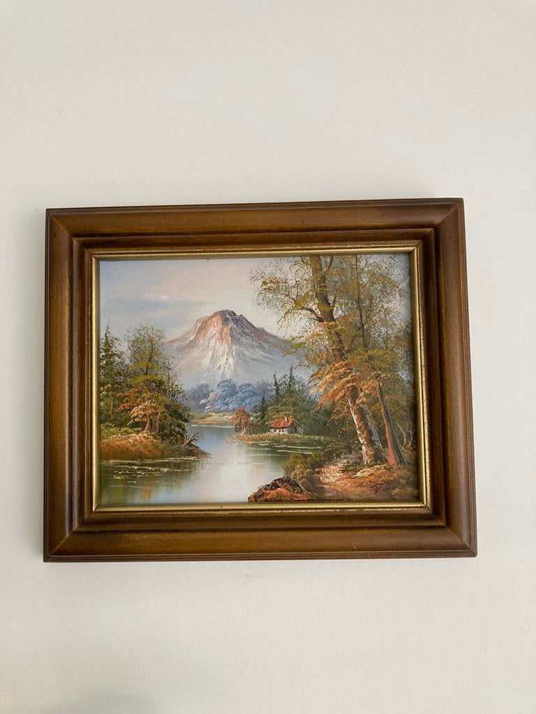 Mooi schilderij - Een huisje aan de rivier ., Ophalen of Verzenden