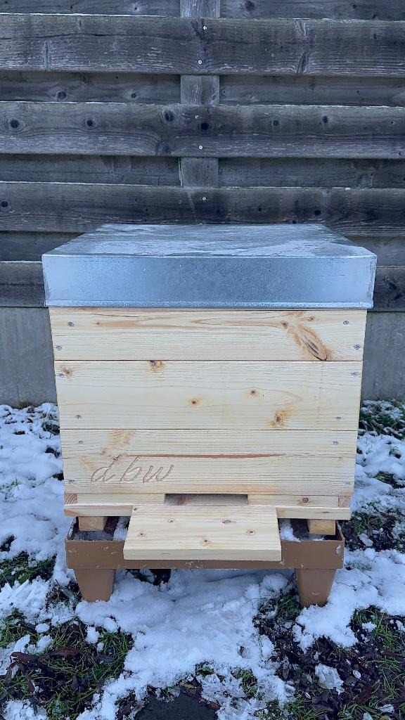 Bijenkast 11 raams, Bijen