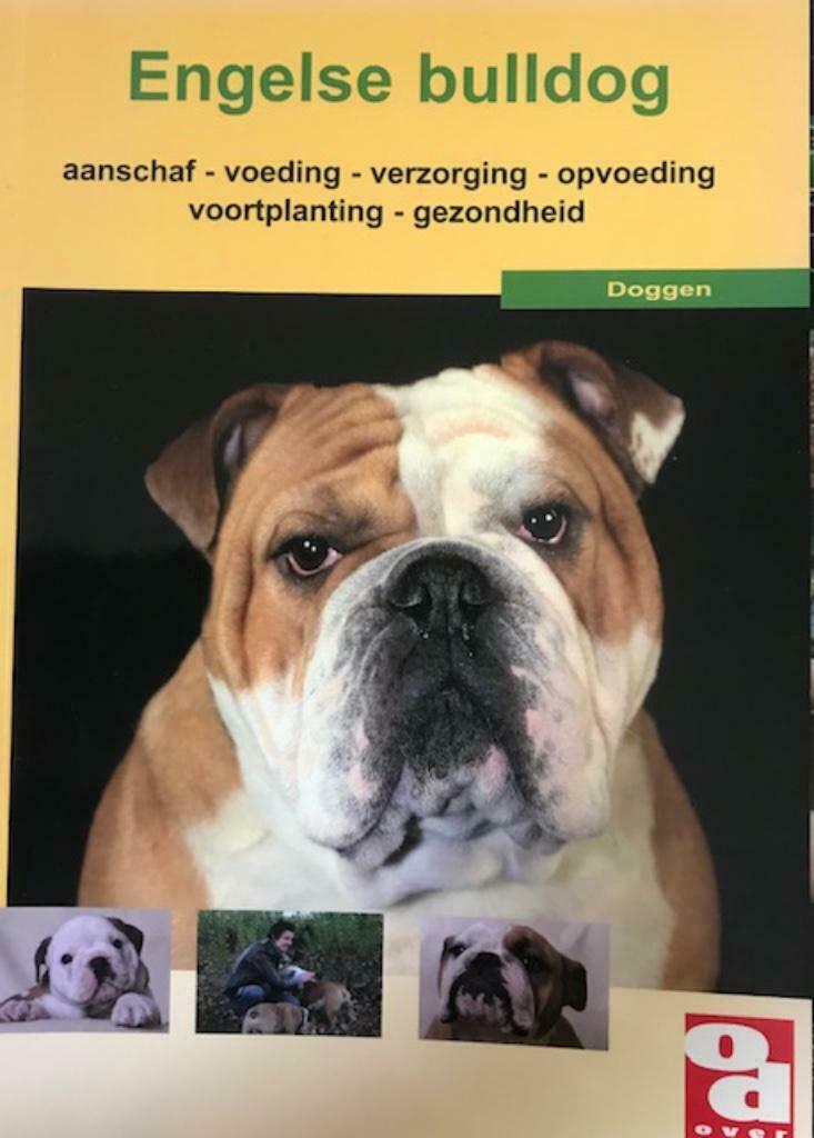 Engelse Bulldog, Over dieren, Ophalen, Honden