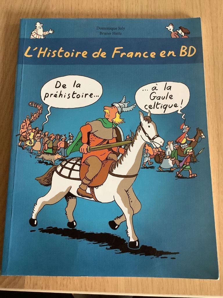 BD L’Histoire de France en BD de Dominique Joly et Bruno Hei, Livres, BD, Enlèvement ou Envoi, Une BD, Utilisé, Dominique Joly