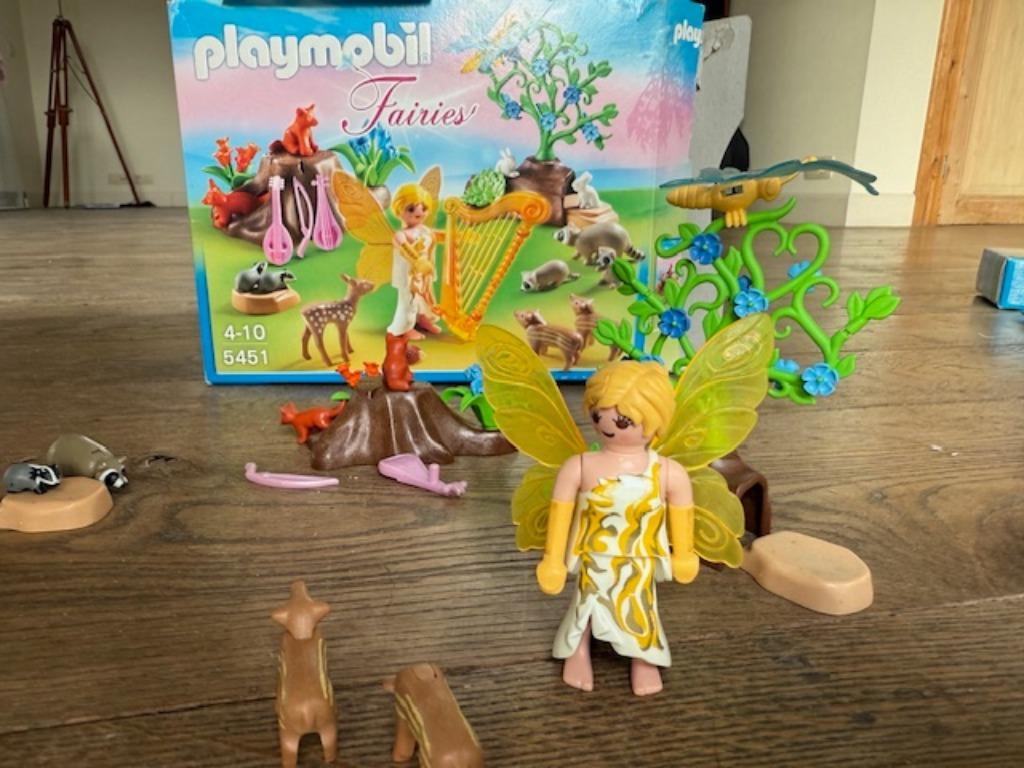 Playmobil Fairies 5451, Kinderen en Baby's, Speelgoed | Playmobil, Ophalen, Gebruikt