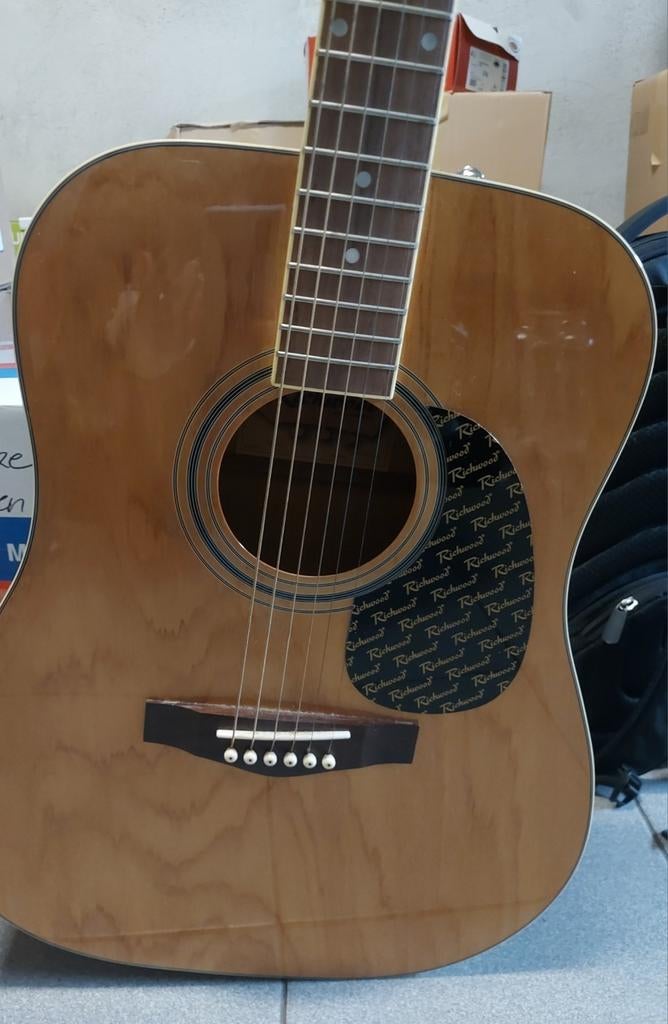 Gitaar Richwood Artist Series RD-12, Muziek en Instrumenten, Ophalen, Nieuw