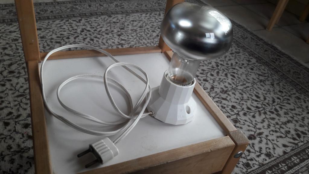 Spot om aan een wand te fixeren met lamp., Ophalen of Verzenden, Gebruikt