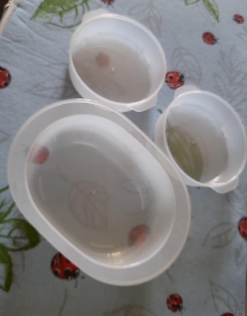 Lot de petits plats pour auto-cuiseur vapeur, Maison & Meubles, Cuisine| Tupperware, Enlèvement ou Envoi, Neuf