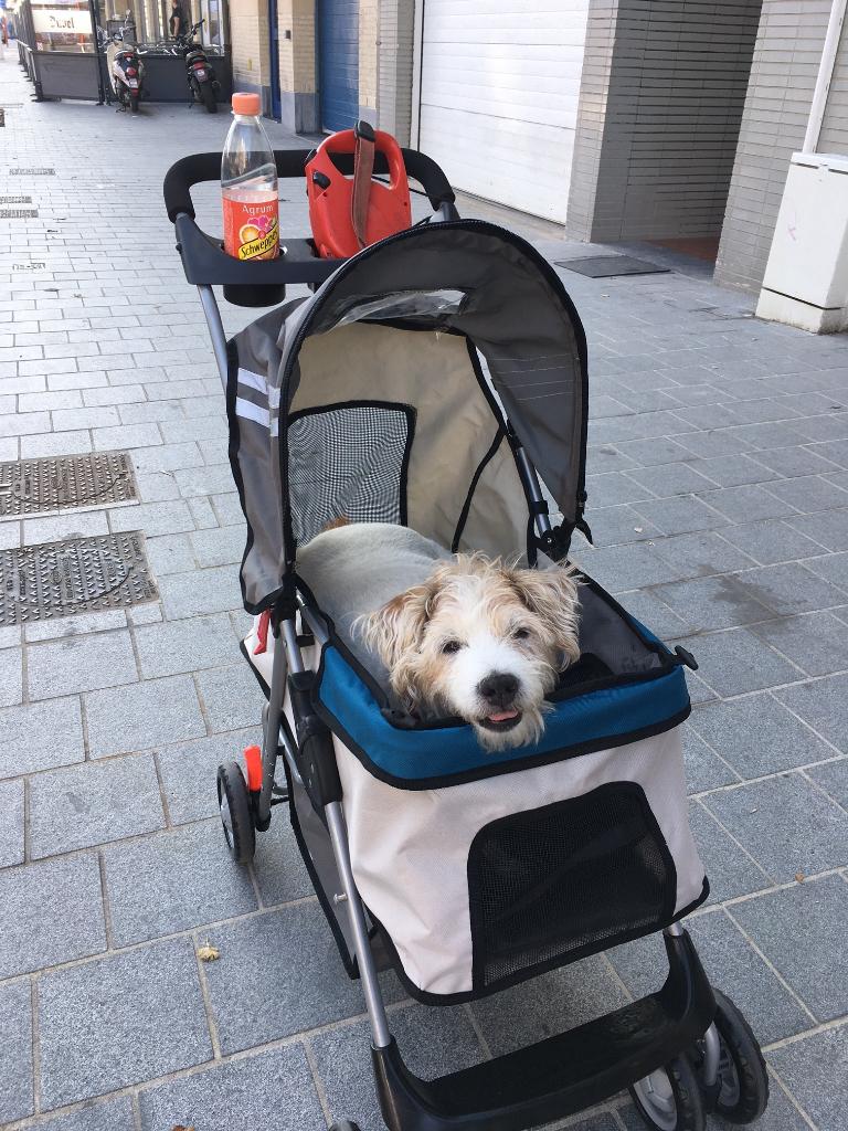 Buggy voor middelgrote honden tot +- 20 kg, Dieren en Toebehoren, Ophalen, Zo goed als nieuw