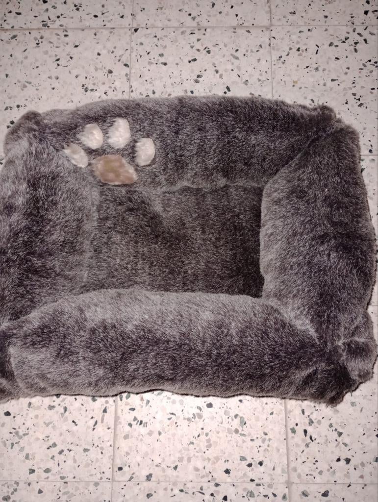 Cavia of kittenkussen, Dieren en Toebehoren, Cavia