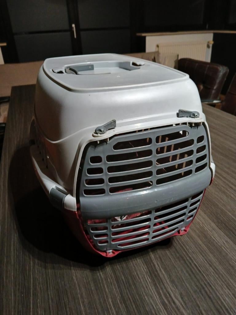 Kattenbox / Transportbak voor kat of kleine hond, Dieren en Toebehoren, Ophalen, Gebruikt