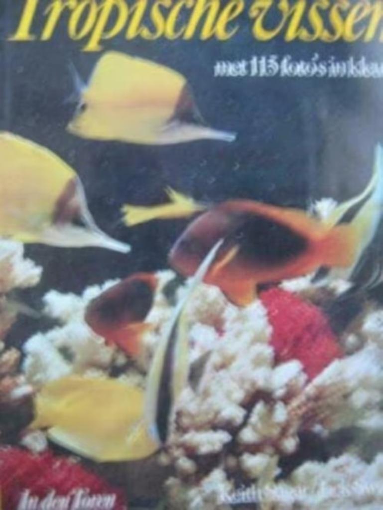 Tropische vissen / Keith Sagar / Jack Swain, Boeken, Dieren en Huisdieren, Ophalen of Verzenden, Zo goed als nieuw, Vissen