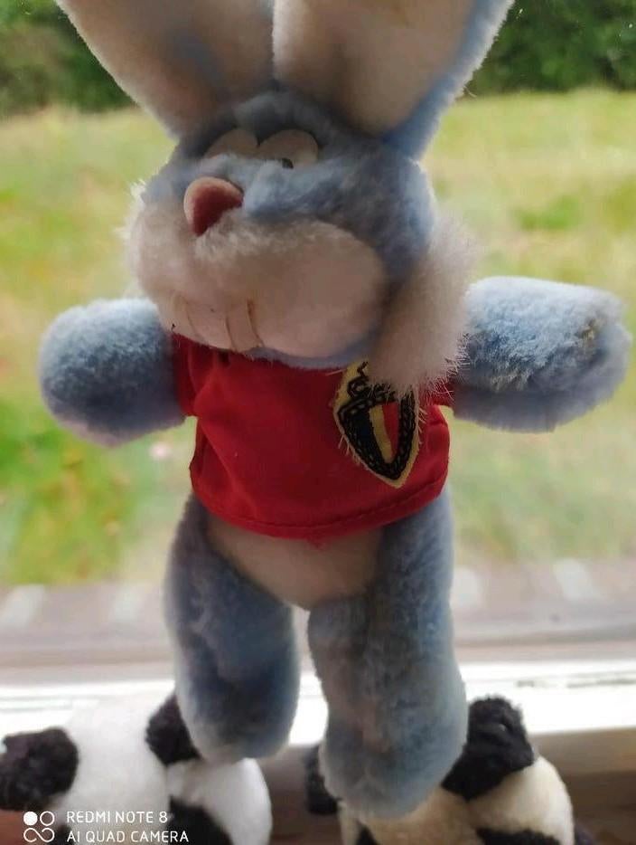 Mascotte des Diables Rouges + 35 ans, Enlèvement ou Envoi, Comme neuf, Statue ou Poupée
