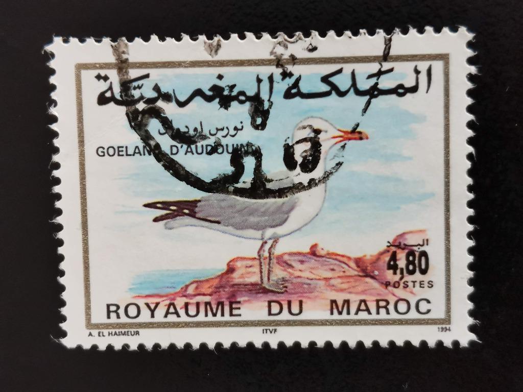 Maroc 1994 - oiseaux - Mouette d'Audouin, Enlèvement ou Envoi, Maroc, Affranchi