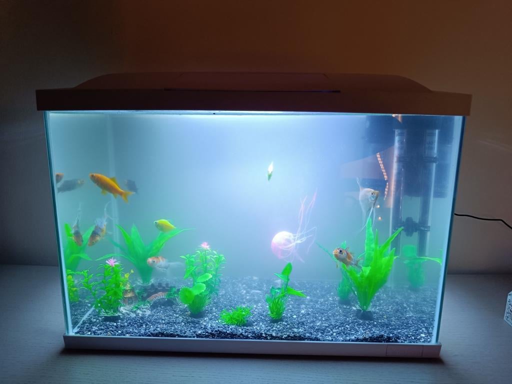 Aquarium 70l