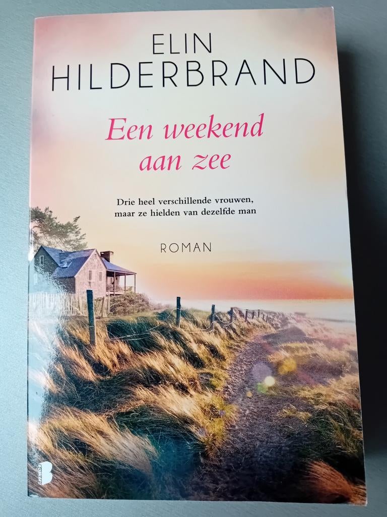 Elin Hilderbrand  - Een weekend aan zee, Ophalen of Verzenden, Zo goed als nieuw