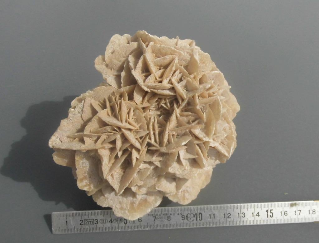Splendide  " ROSE  des SABLES ", Collections, Minéraux & Fossiles, Enlèvement ou Envoi, Autres types