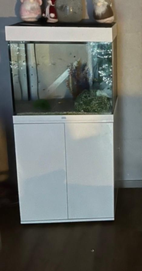 Aquarium, Dieren en Toebehoren, Ophalen, Zo goed als nieuw, Filter, Juwel