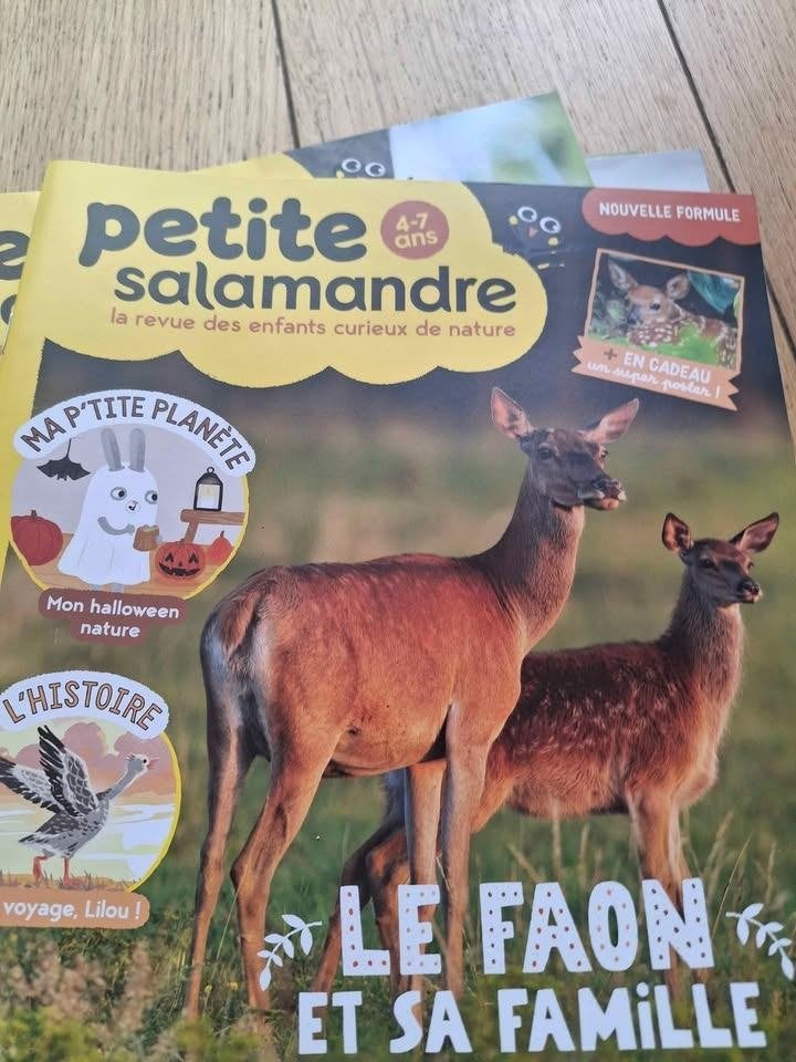 10 numéros Petite Salamandre -4/7 ans, Garçon ou Fille, Comme neuf, Enlèvement, 4 ans