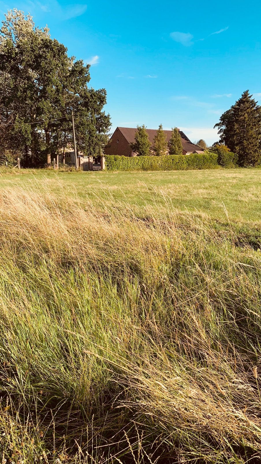 Landbouwgrond, Zakelijke goederen, Ophalen