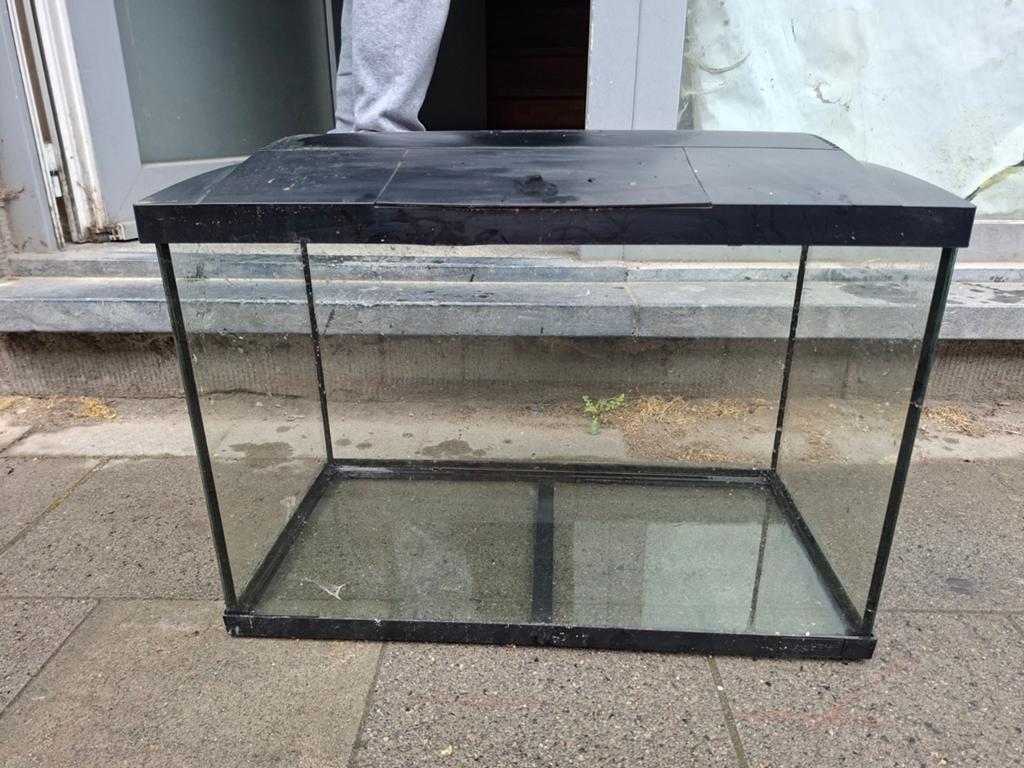 Aquarium 60×40×30, Ophalen
