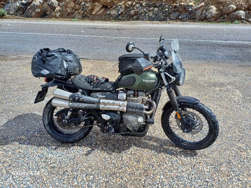 Triumph scrambler 900, Occasion, ABS, 2 cylindres, Particulier