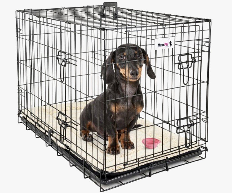 Hondenbench Nieuw in dozen !!!, Dieren en Toebehoren, Ophalen