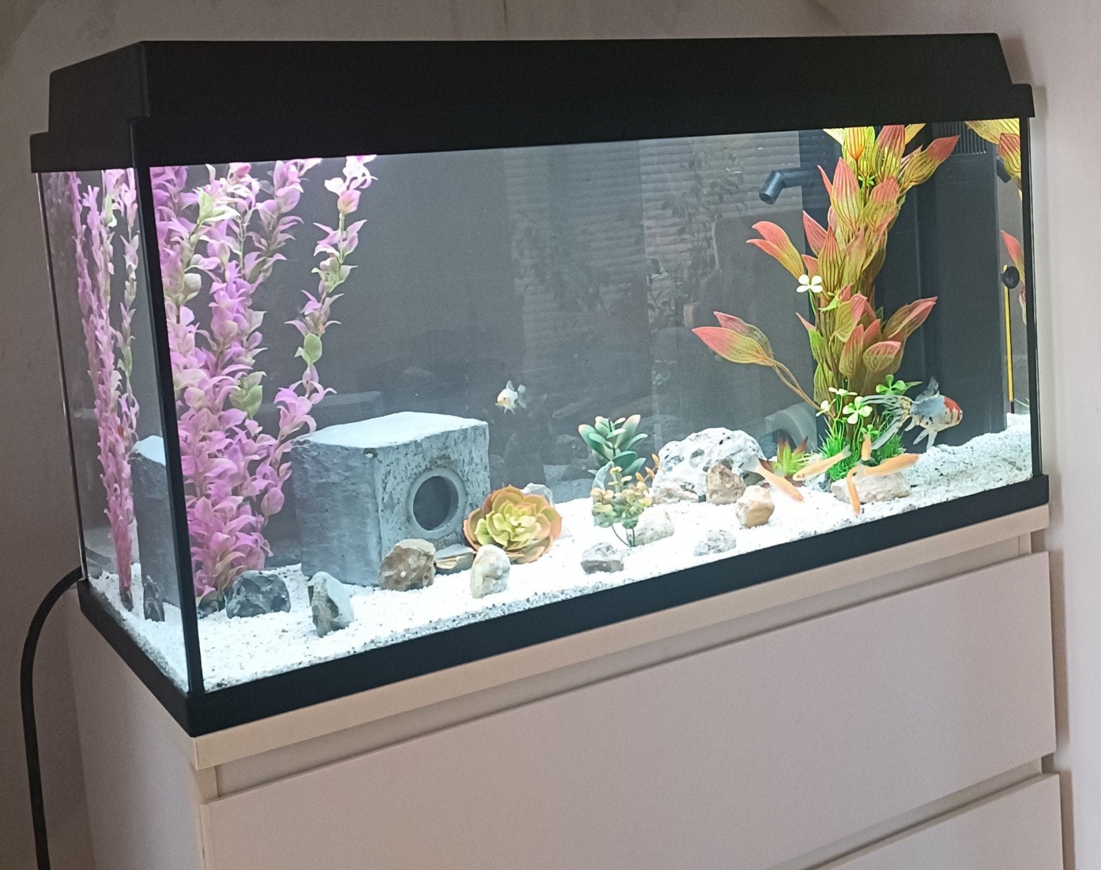 Juwel aquarium 110l, Animaux & Accessoires, Poissons | Aquariums & Accessoires, Comme neuf, Aquarium vide, Couvercle inclus, Plantes incluses