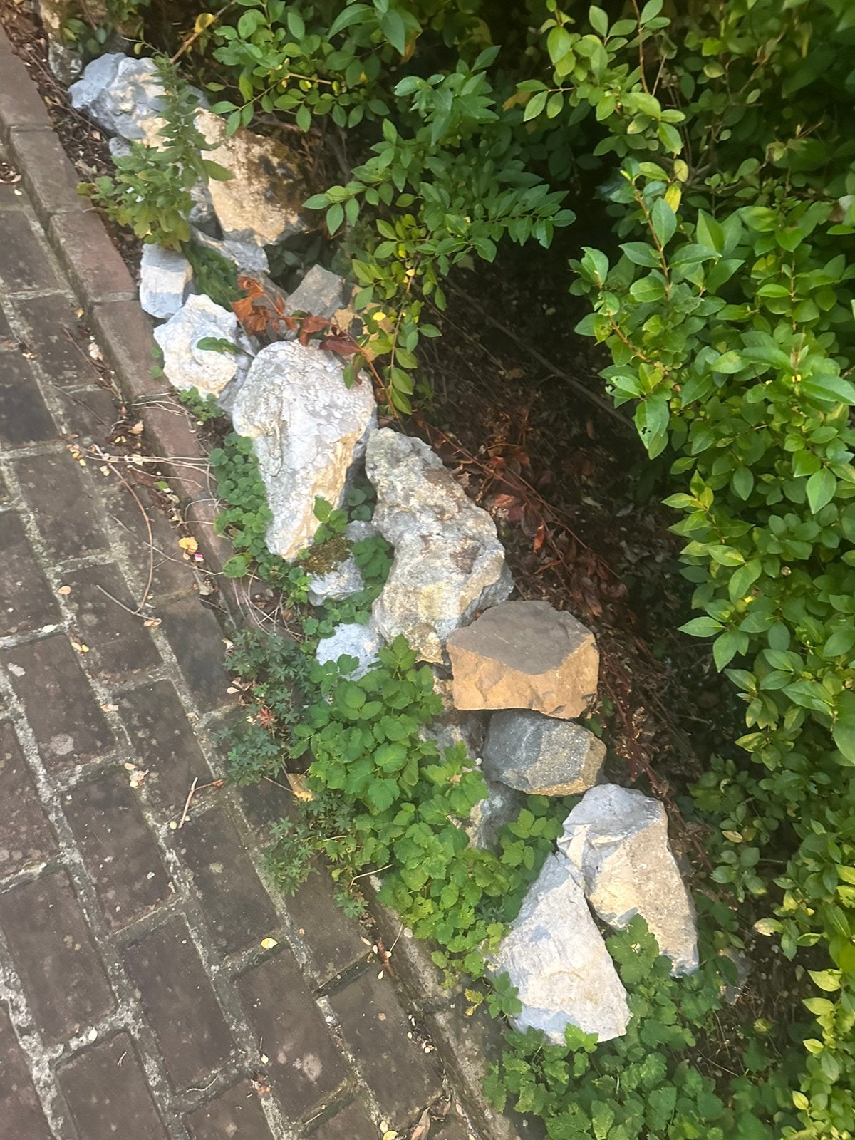Gratis stenen, Tuin en Terras, Ophalen, Zo goed als nieuw