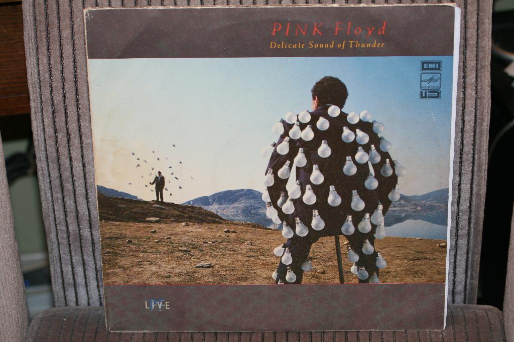 2xLP - Pink Floyd – Delicate Sound Of Thunder, CD & DVD, Vinyles | Rock, 12 pouces, Progressif, Enlèvement ou Envoi, 1970 - 1979