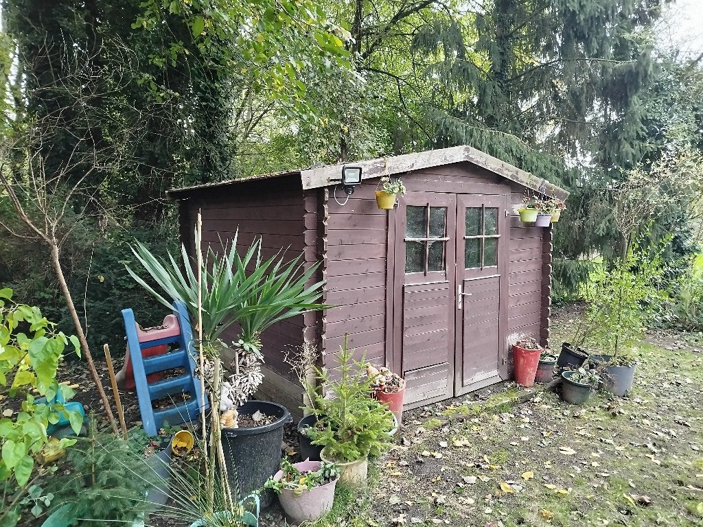 Abris de jardin, 200 à 400 cm, 250 à 300 cm, 2 fenêtres, Enlèvement