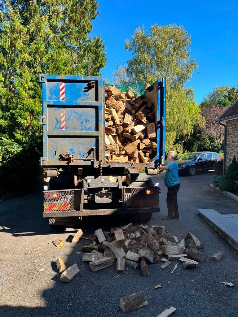 Bois de chauffage sec pour préparer l'hiver, 3 à 6 m³, Enlèvement, Hêtre, Bûches