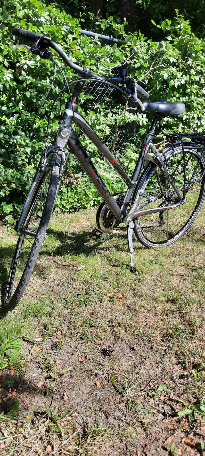 Damesfiets Thompson, Fietsen en Brommers, Ophalen, Velgrem, 47 tot 50 cm, Versnellingen