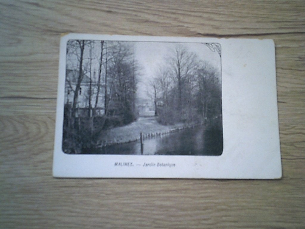 MECHELEN - MALINES: Jardin Botanique, Ophalen of Verzenden, Voor 1920, Ongelopen, Antwerpen