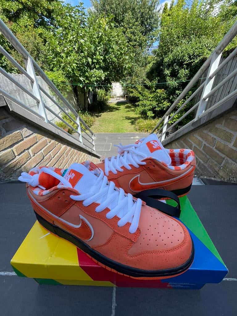 Nike Dunk SB Orange Lobster, Ophalen of Verzenden, Nieuw, Sneakers