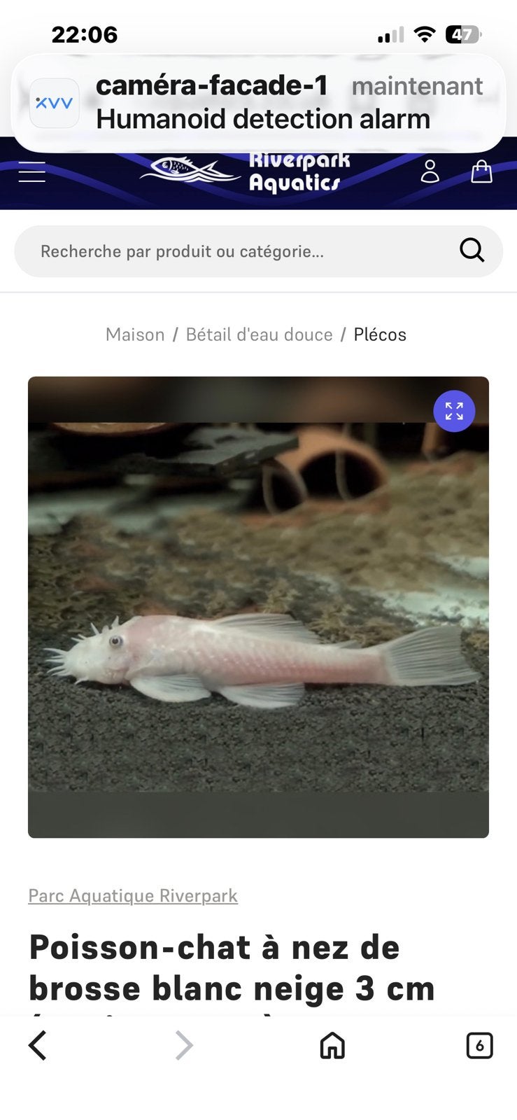 Recherche mâle snow White, Tickets en Kaartjes, Recreatie | Dierentuinen