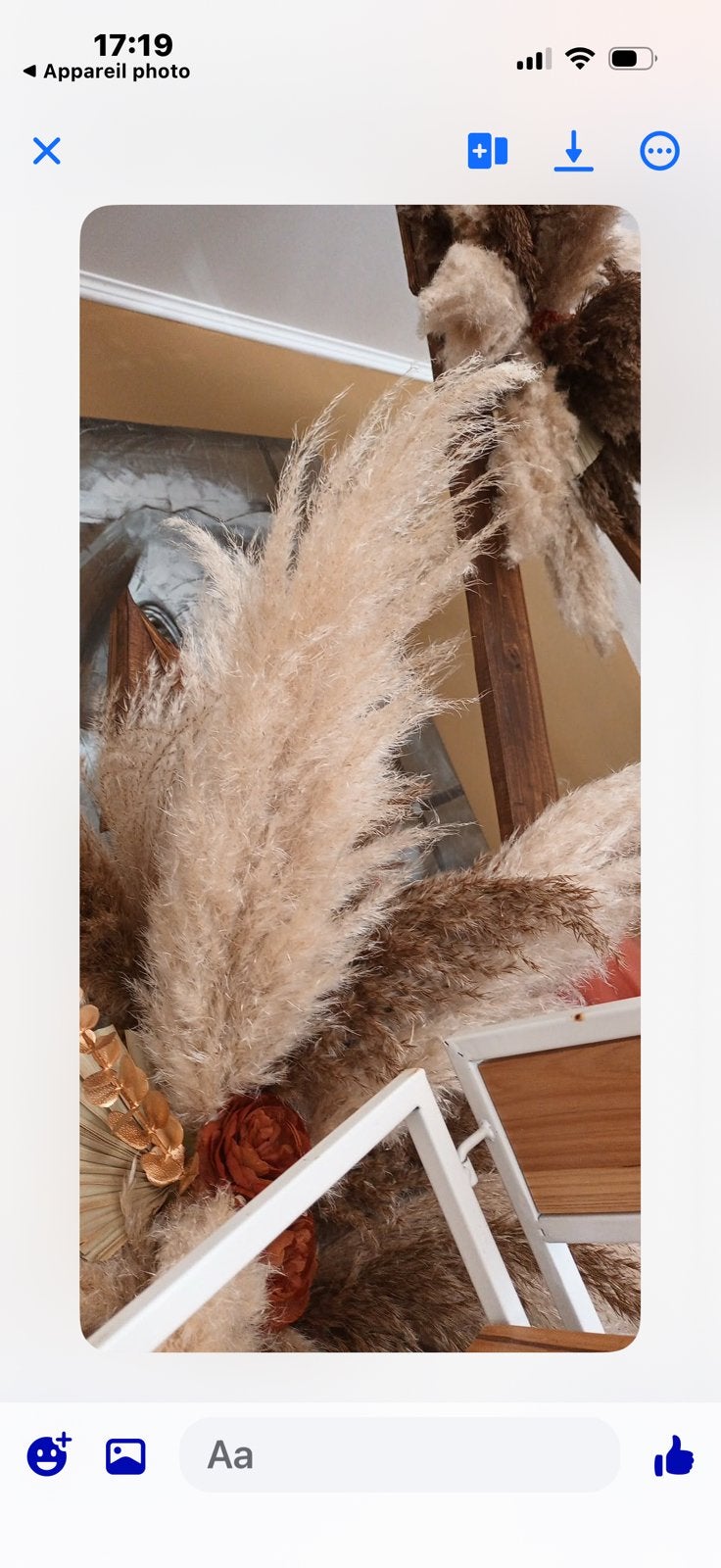Plume de pampas 90 euros pour 96 pampas ou 2 euros pièce, Huis en Inrichting, Woonaccessoires | Droogbloemen, Ophalen, Nieuw