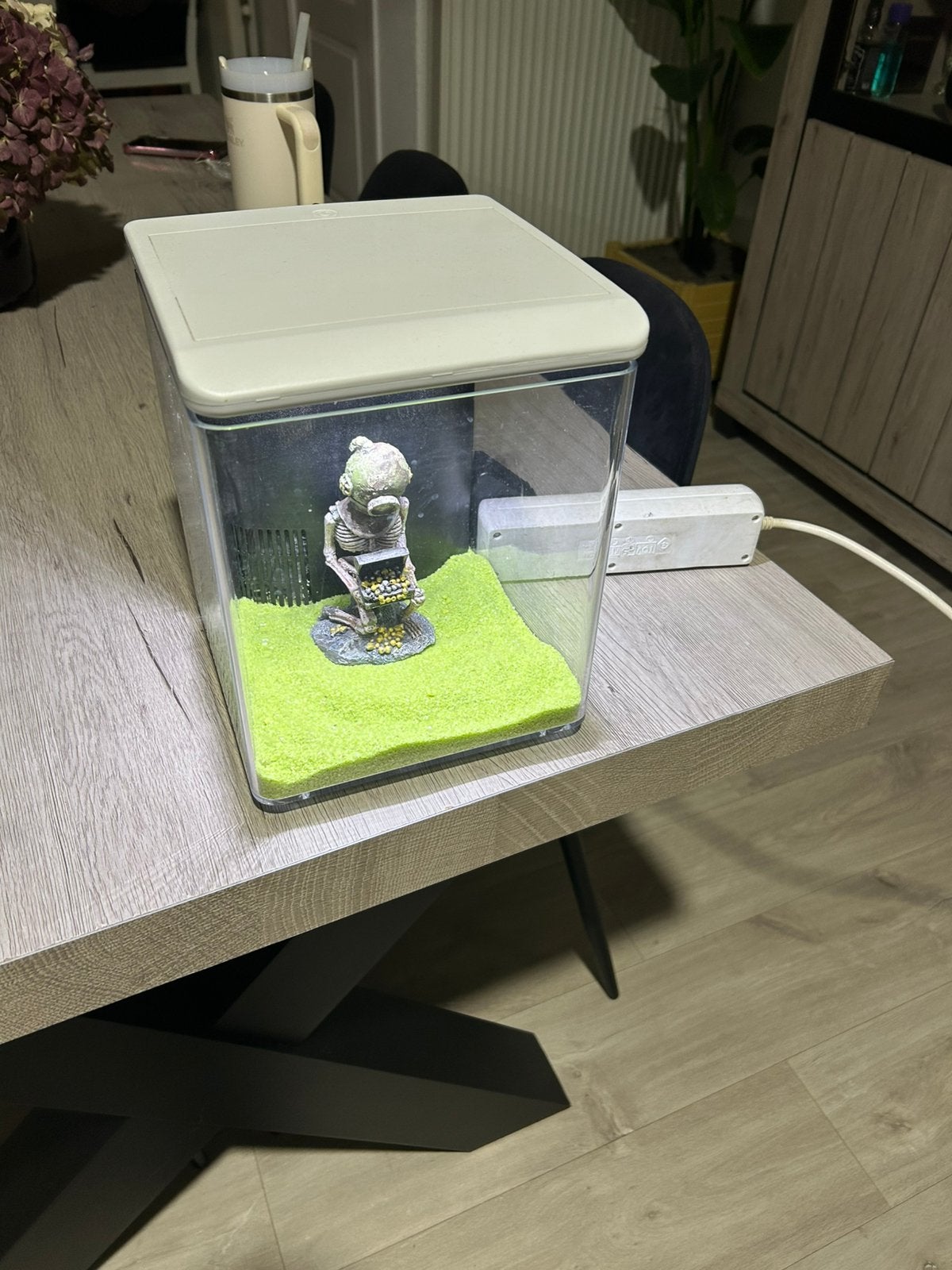 Aquarium Superfish, Dieren en Toebehoren, Ophalen