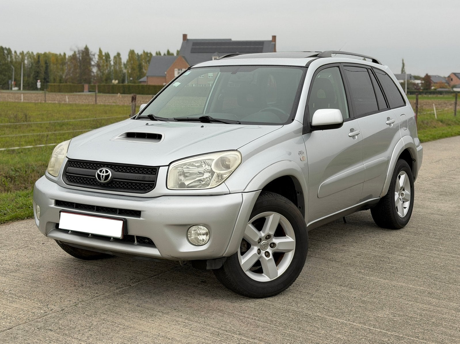 Toyota RAV4 2.0 D-4D | 4x4 | Lichte Vracht | Airco | Dak |, Autos, Argent ou Gris, Boîte manuelle, 5 portes, Diesel
