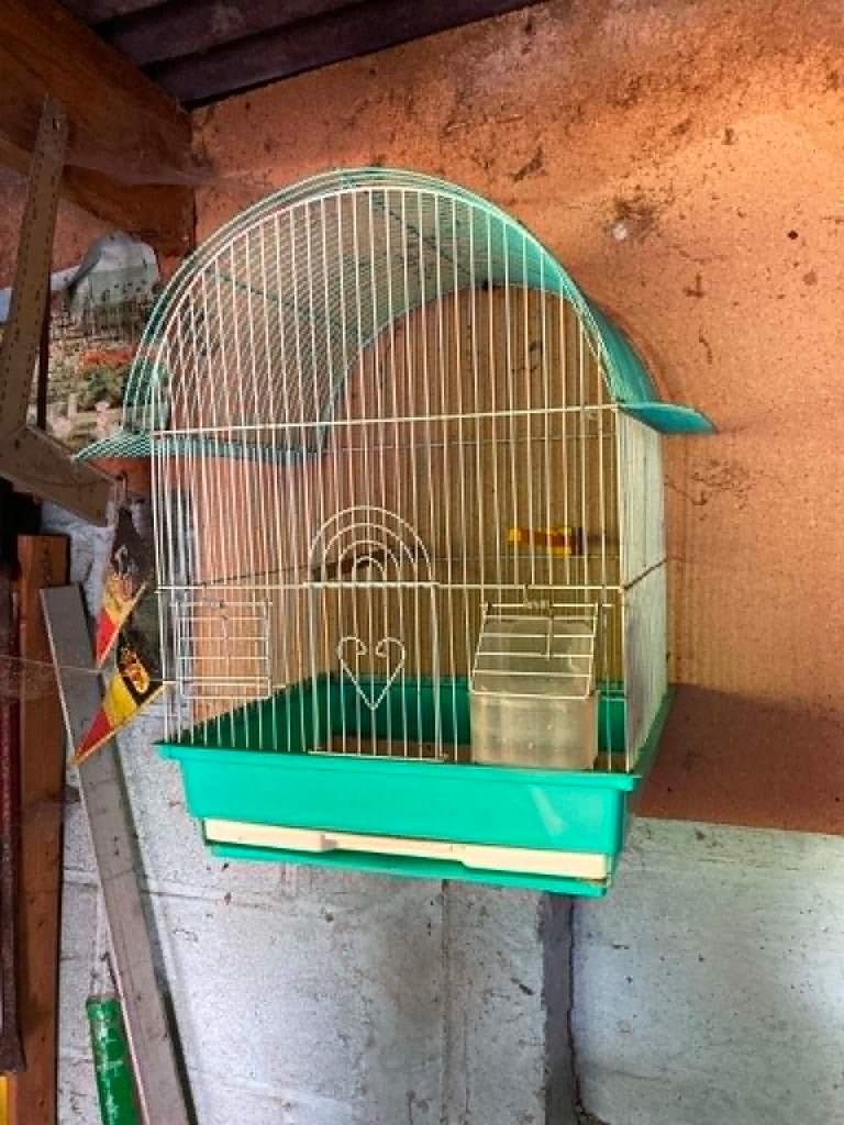 vogels, Enlèvement, Utilisé, Synthétique, Cage à oiseaux