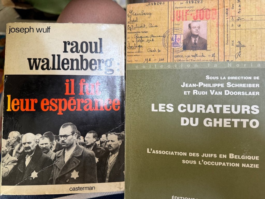 De curatoren van het getto, Brussel + Raoul Wallenberg, Ophalen of Verzenden, Gelezen