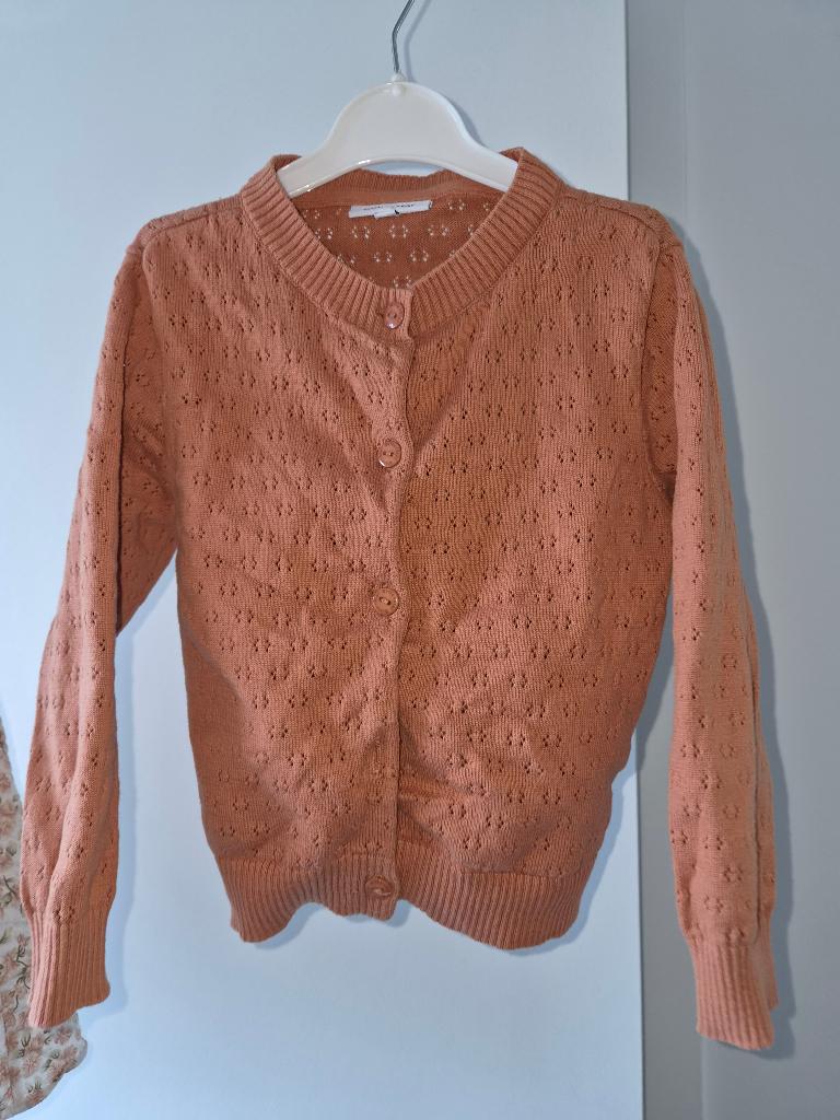 Vestje en kleedje maat 110, Kinderen en Baby's, Kinderkleding | Maat 110, Ophalen, Meisje, Zo goed als nieuw, Setje