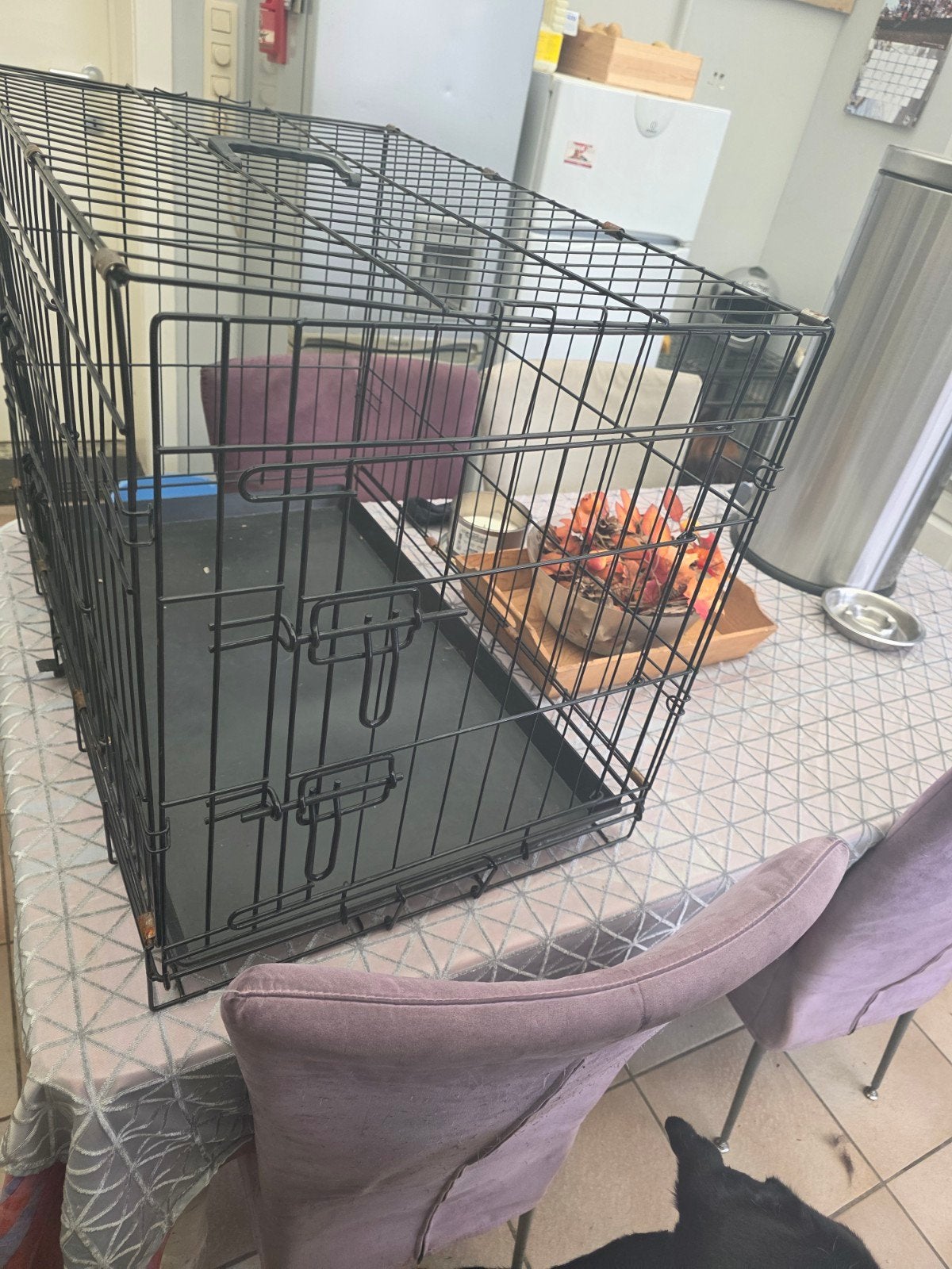 honden bench, Utilisé, Moins de 65 cm, Chenil chien, Enlèvement