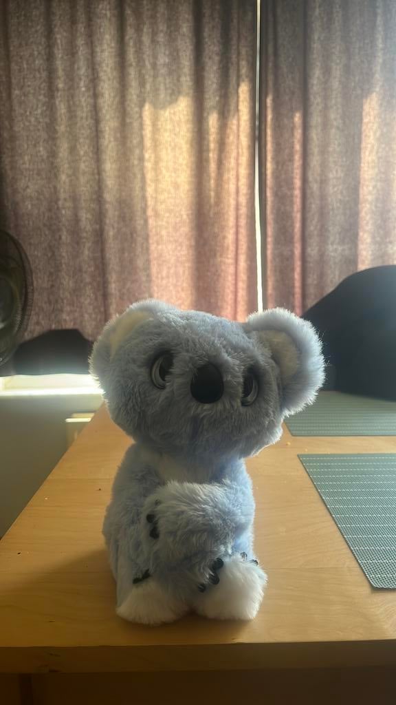Joy toy fuzzy friends interactive koala, Ophalen, Zo goed als nieuw