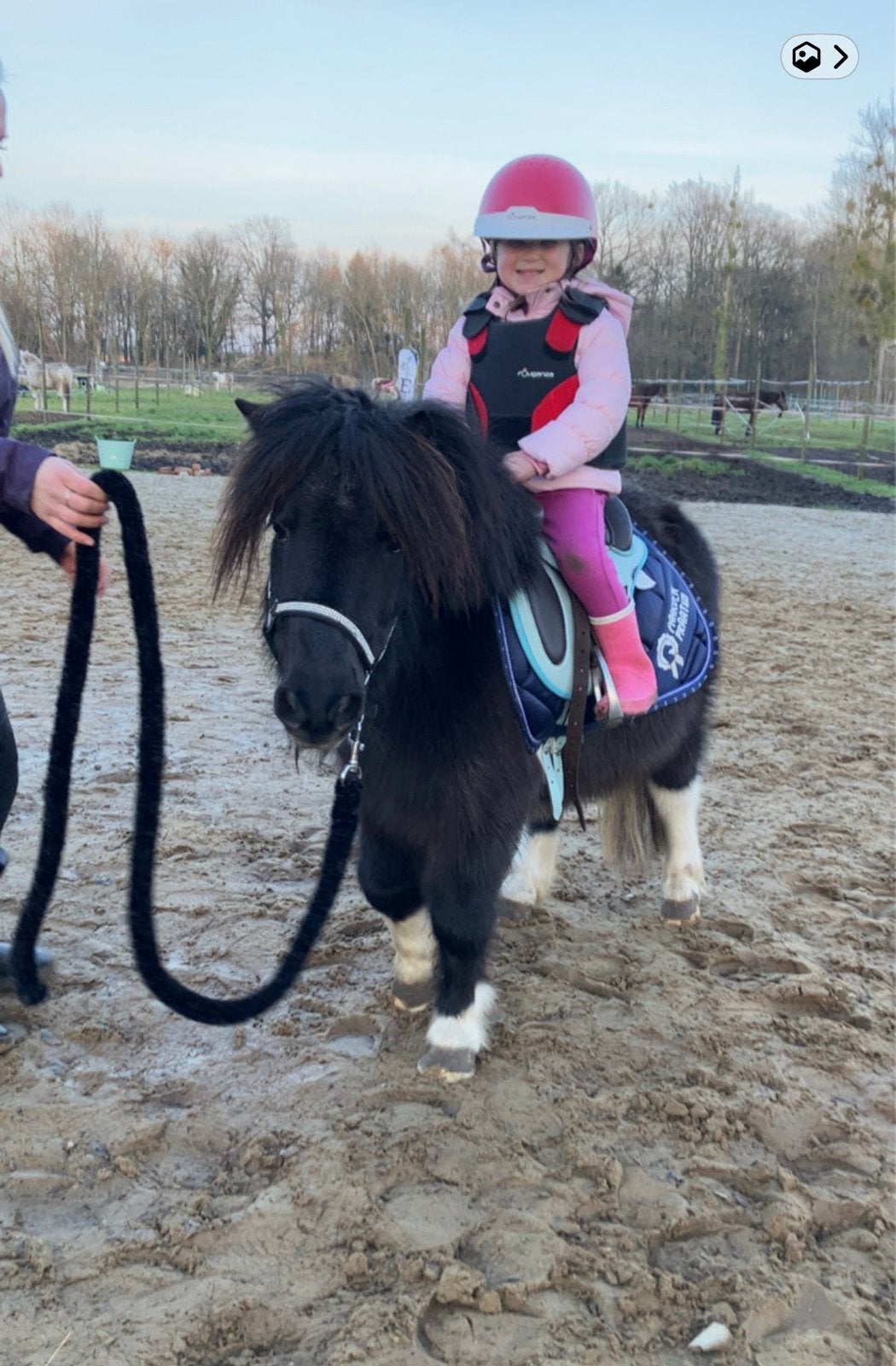 Brave kinderpony, Animaux & Accessoires, 11 ans ou plus, Hongre, Débourré, Poney de récréation