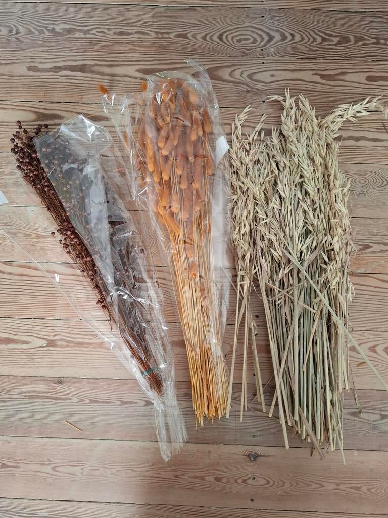 Droogbloemen (vlas, lagos, avena), Enlèvement